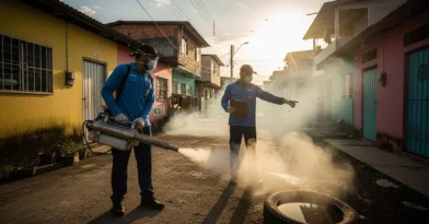 Dedetização contra Dengue